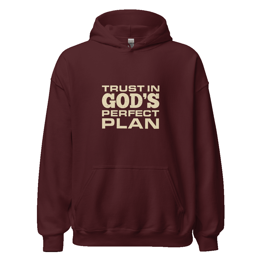 Unisex Trust in God's Perfect Plan Hoodie with faith-inspired message in eco-friendly cotton blend, ideal for casual, faith-based style.